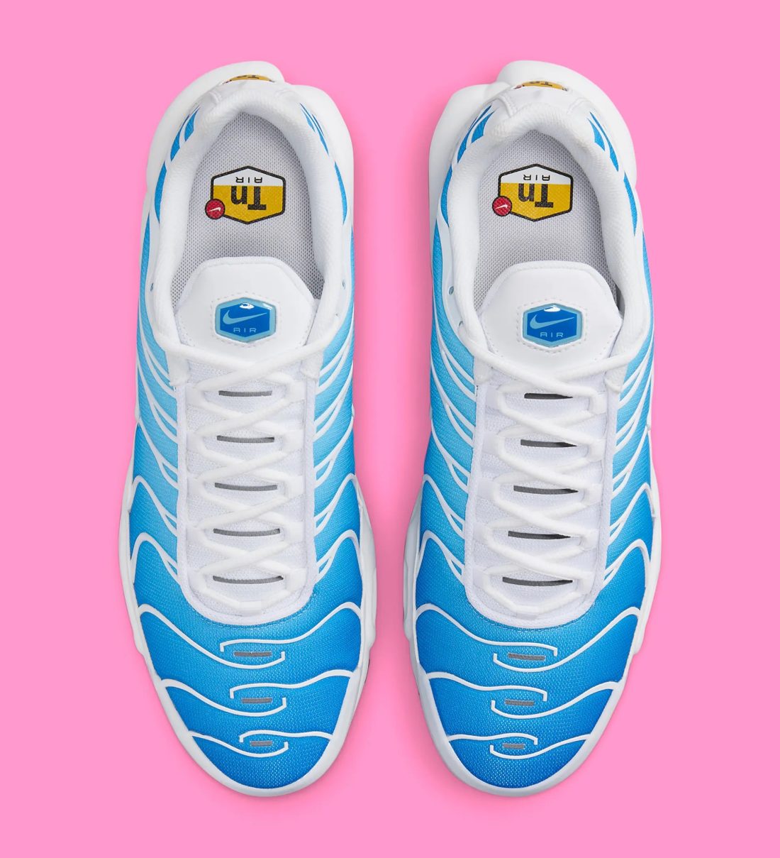 TN BATTLE BLEU