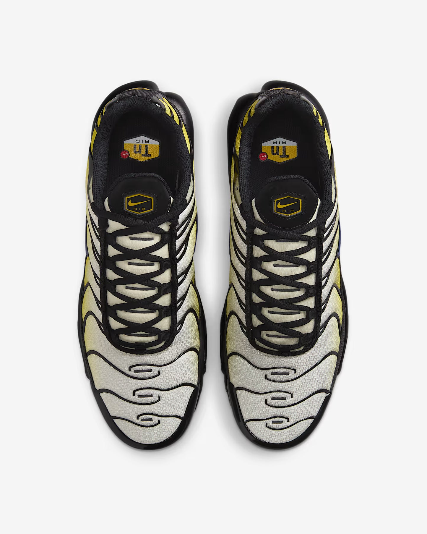 TN Bright Citron