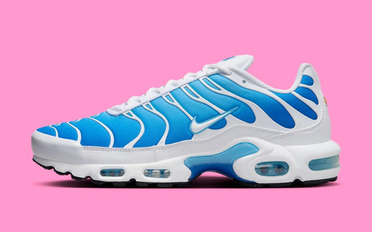 TN BATTLE BLEU
