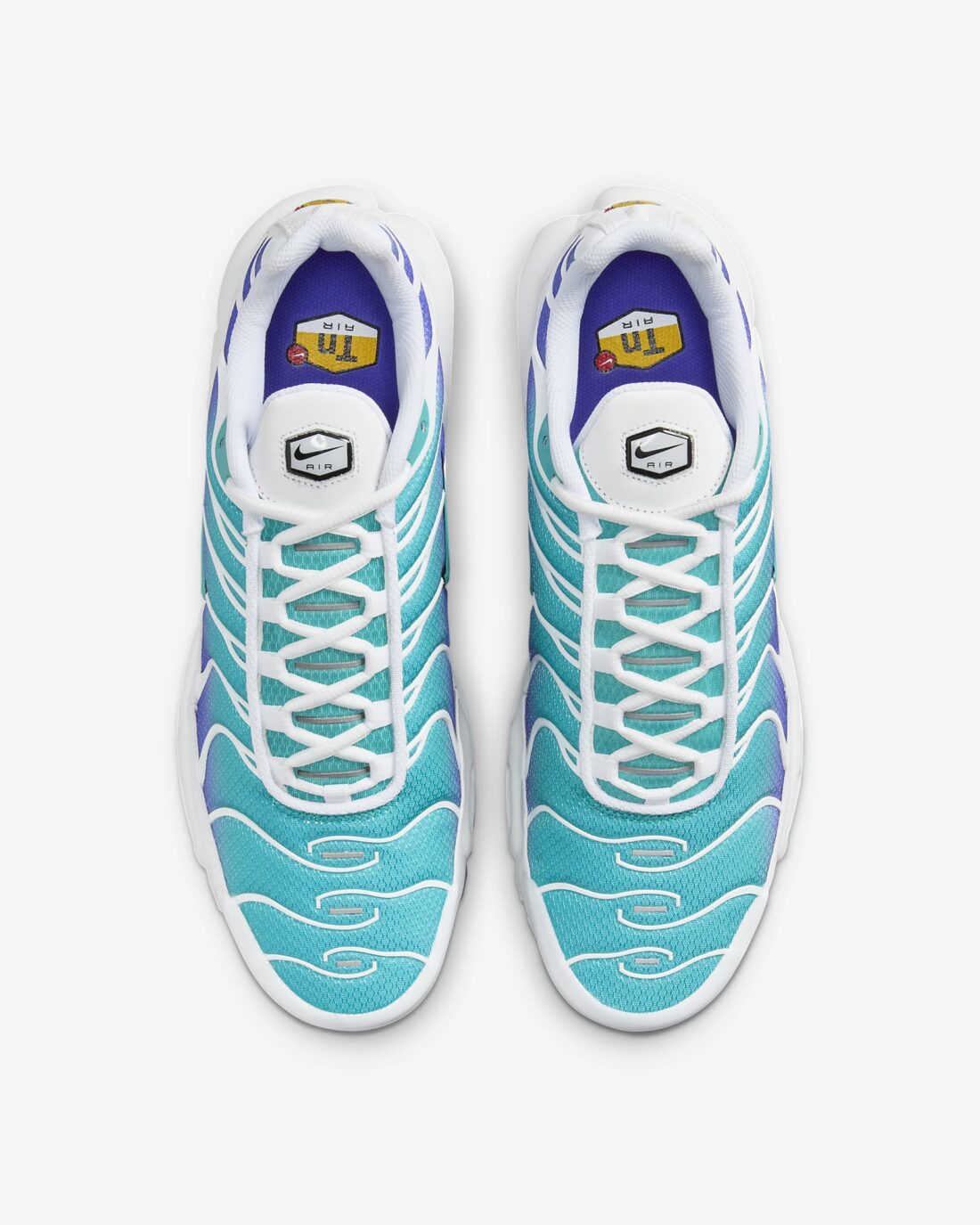 TN AQUA