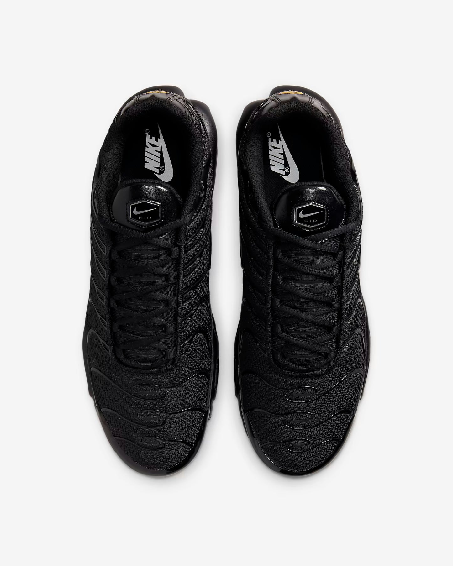 TN BLACK 1