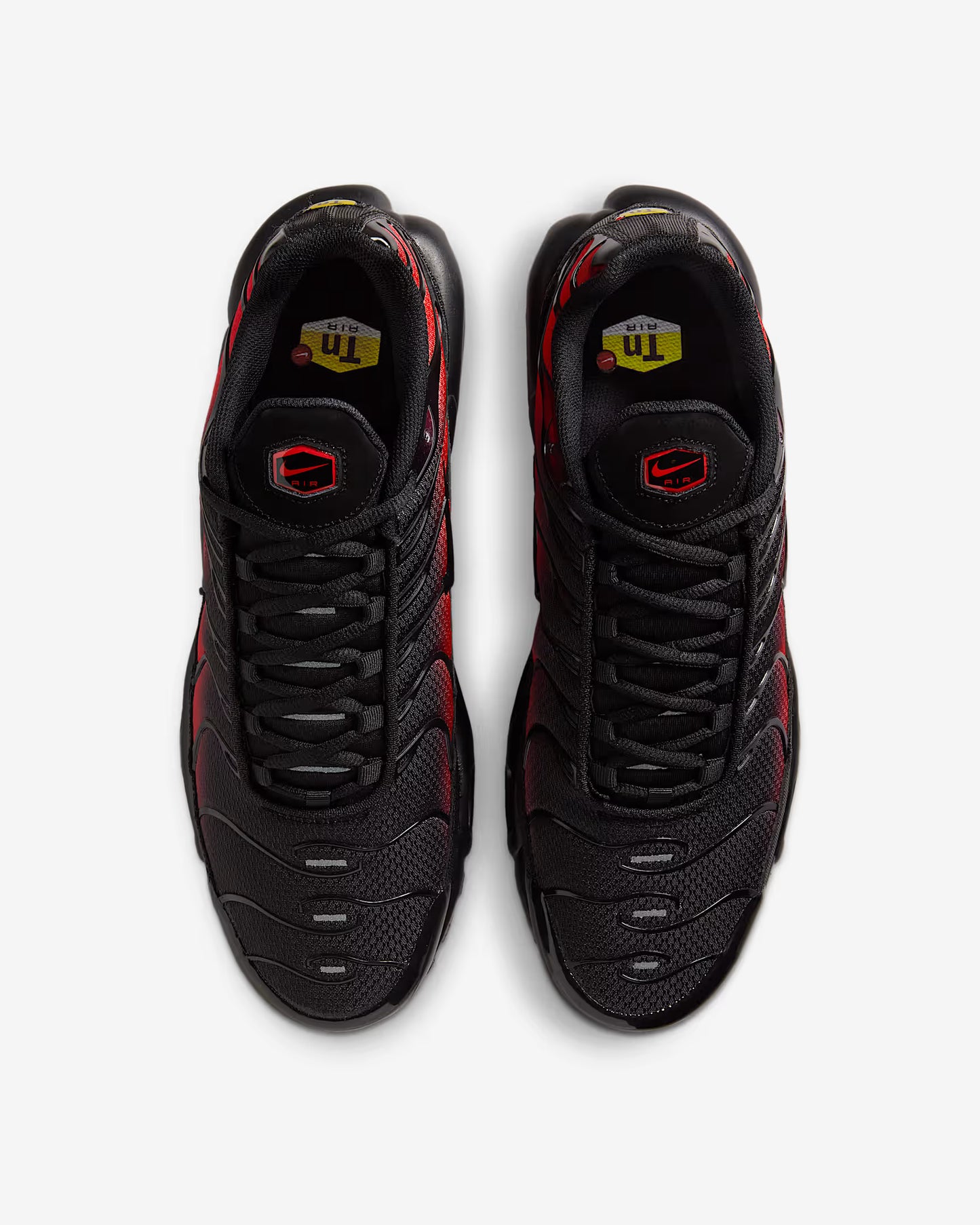 TN CHIKAGO ROUGE