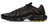 TN BRI 2025
